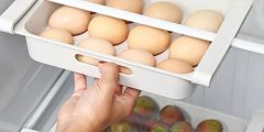 خرید شلف و استند نگهدارنده تخم مرغ برای یخچال