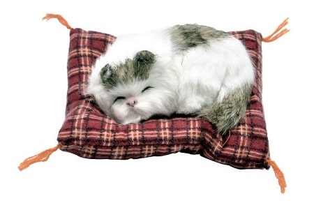 خرید اینترنتی عروسک گربه خوابالو